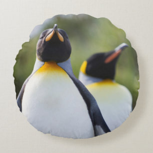 Almofada Redonda Pinguins-rei