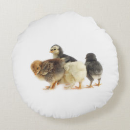 Almofada Redonda pintinhos