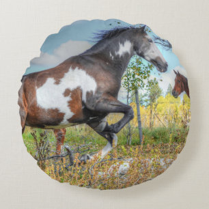 Almofada Redonda Pinto Pintado Stallion em Raça Cavalo