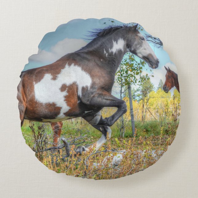 Almofada Redonda Pinto Pintado Stallion em Raça Cavalo (Frente)