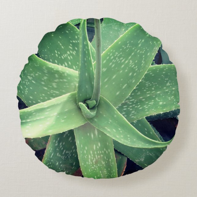 Almofada Redonda Planta Aloe Vera (Frente)