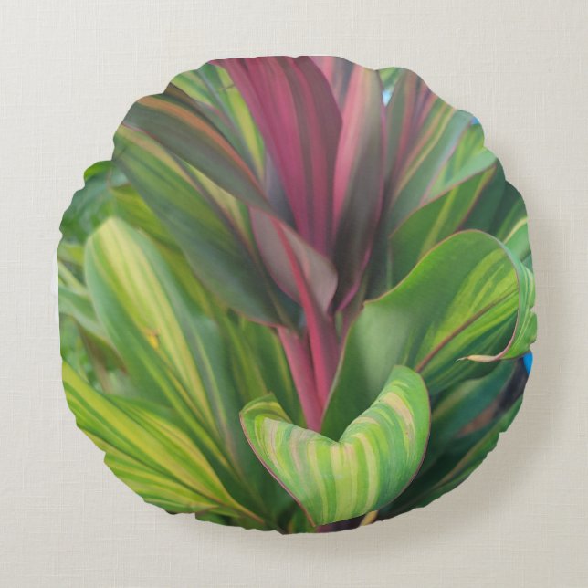 ALMOFADA REDONDA PLANTA MAIS (Frente)