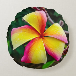 Almofada Redonda Plumeria rubra