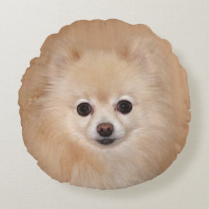 Almofada Redonda Pomeranian enfrenta