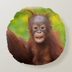 Almofada Redonda Quirky Charm de um Bebê Orangutan