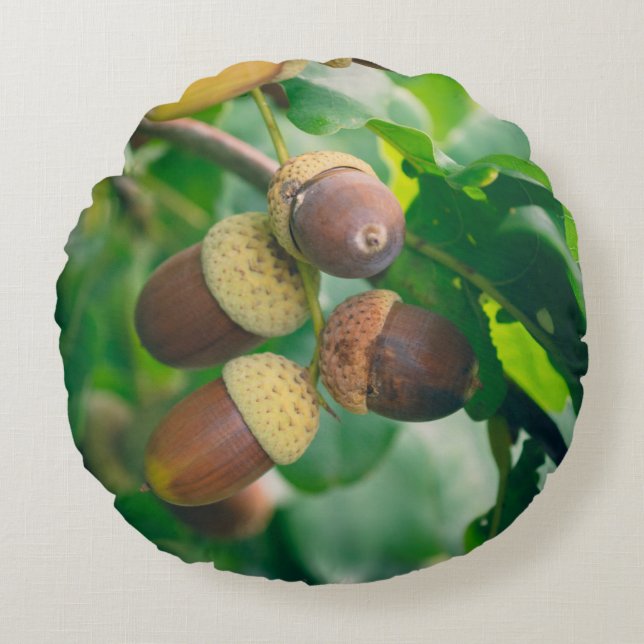 Almofada Redonda Ramos de carvalho com bolota (Frente)