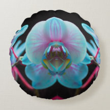 Reflexão Orquídea Azul Exótica