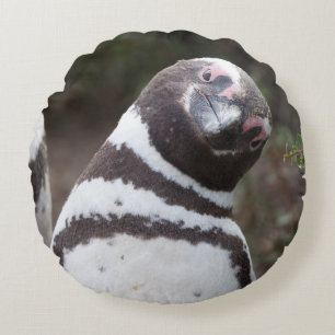 Almofada Redonda Retrato do pinguim de Magellanic
