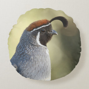 Almofada Redonda Retrato Male Quail