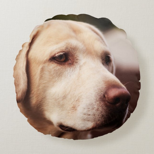 Almofada Redonda Retriever Labrador (Frente)
