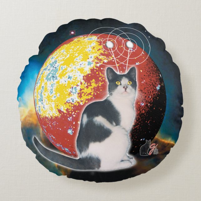 Almofada Redonda Robo Cat Hobo (Frente)