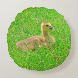 Almofada Redonda Round Pillow Canada Goose
