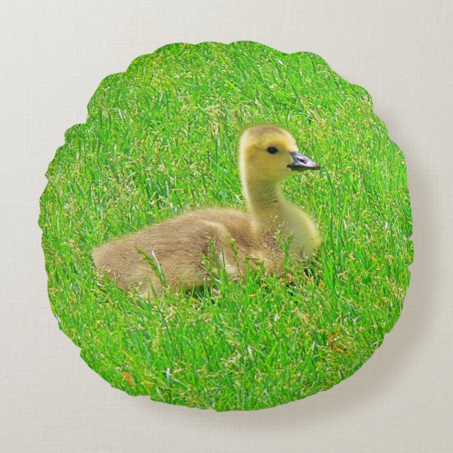 Almofada Redonda Round Pillow  Canada Goose (Frente)