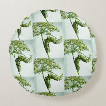 Sala de comida da lagarta-do-mato-preto