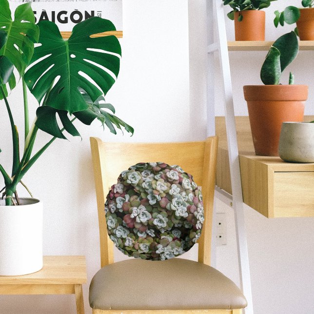 Almofada Redonda Sedum Spathulifolium Succulium Floral (In Situ Chair)