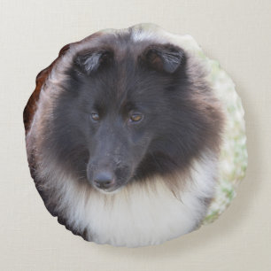 Almofada Redonda Sheltie adorável