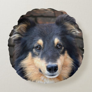 Almofada Redonda Sheltie Tricolor