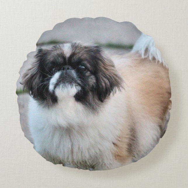 Almofada Redonda Shih Tzu (Frente)
