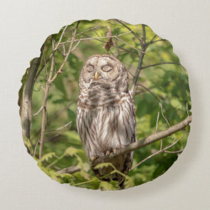 Almofada Redonda Sleepy Barred Owl