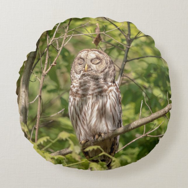 Almofada Redonda Sleepy Barred Owl (Frente)