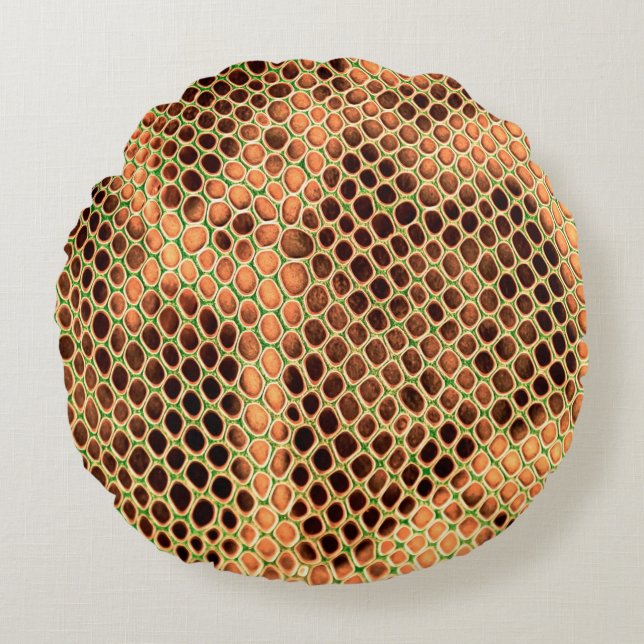 Almofada Redonda Snake skin background (Frente)