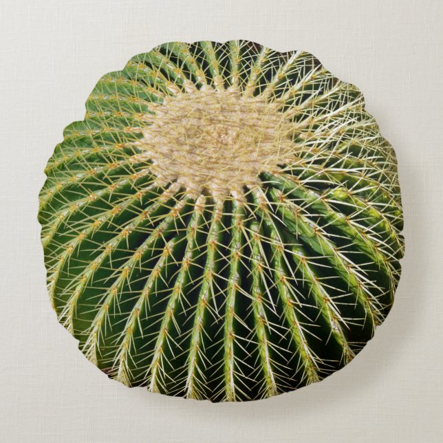 Almofada Redonda Spikey Look Cactus Cushion (Frente)