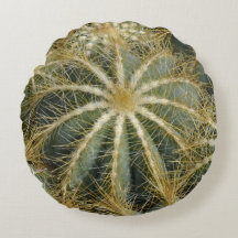 Spikey Natural Green Cactus