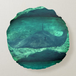 Almofada Redonda Sting Ray