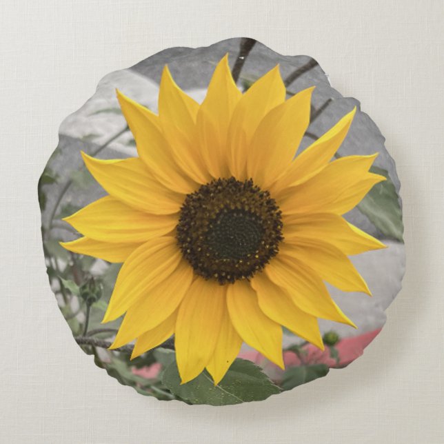 Almofada Redonda Sunflower Pillow (Verso)