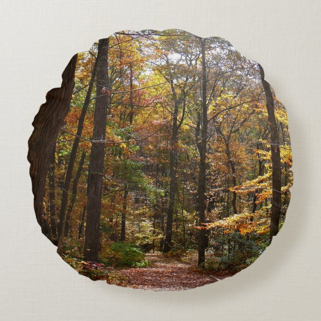 Almofada Redonda Sunlit Fall Trail no Parque Estadual de Laurel Hil (Frente)