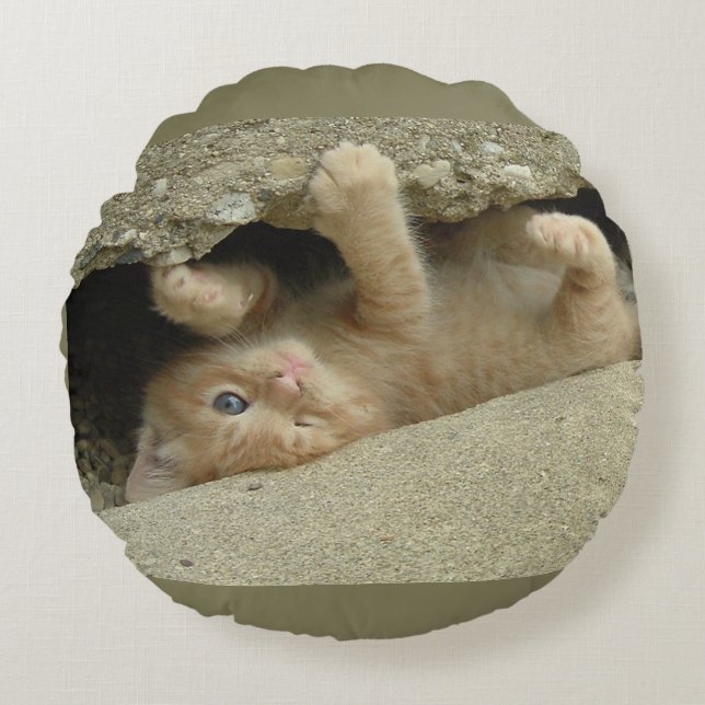 Almofada Redonda Super Hero Orange Tabby Kitten (Frente)