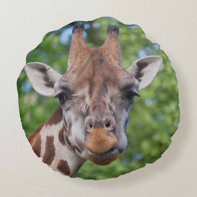 Almofada Redonda Sweet Curios Giraffe (Verso)