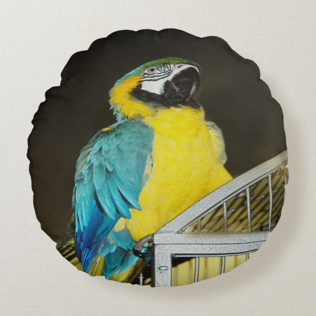 Almofada Redonda Taz. (Frente)