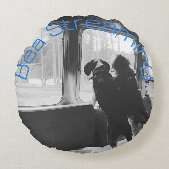 Almofada Redonda Travesseiro Bea Streaming Bailey (Frente)