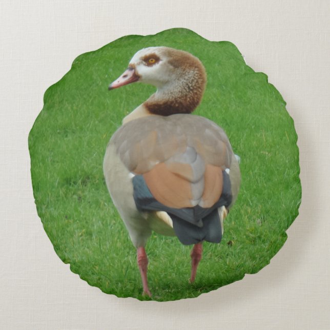 Almofada Redonda Travesseiro Bird Round (Verso)