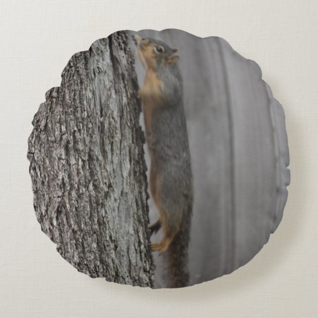 Almofada Redonda Travesseiro de esquilo (Frente)