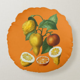 ALMOFADA REDONDA TRAVESSEIRO DECORATIVO FRUTA CITRUS