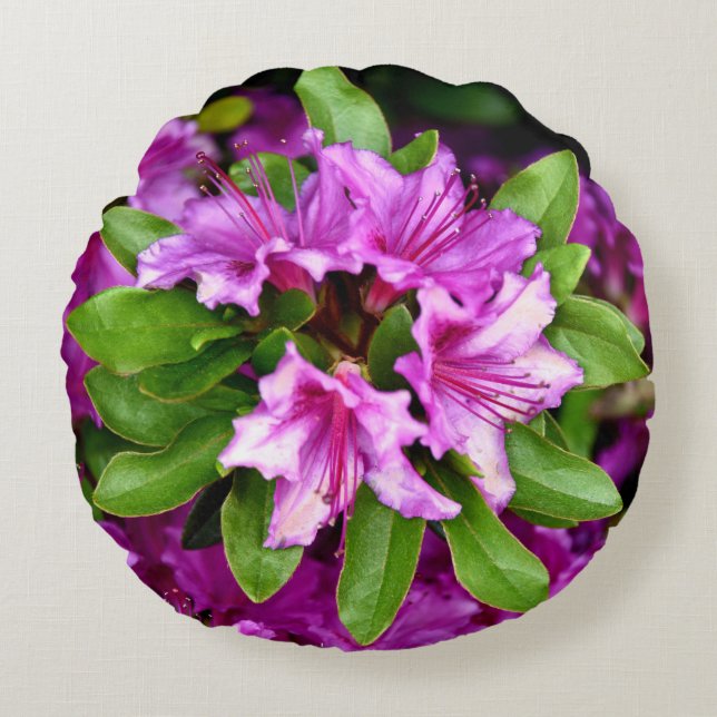 Almofada Redonda Travesseiro decorativo redondo de Azelia (Frente)