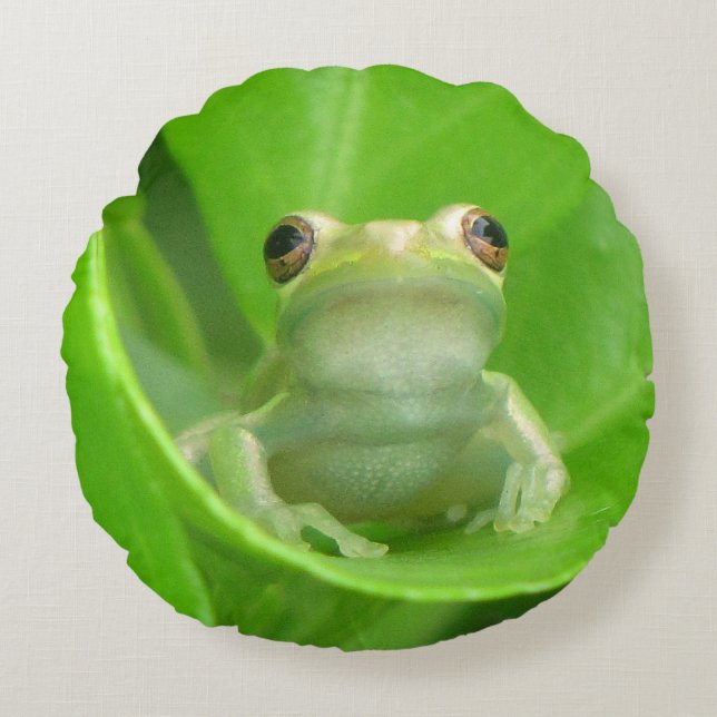 Almofada Redonda Travesseiro decorativo Sapo verde árvore (Frente)