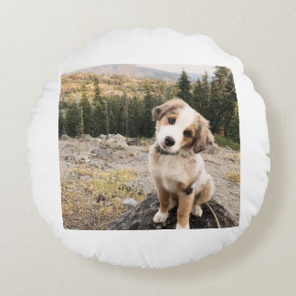 Almofada Redonda Travesseiro dogii bonito