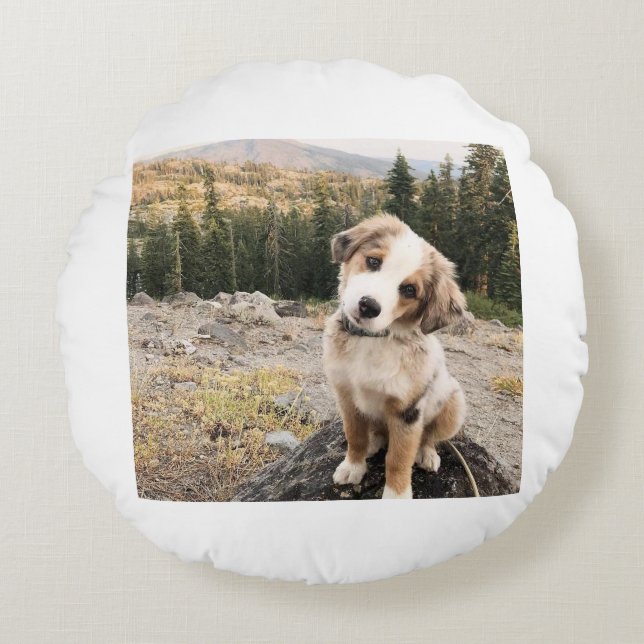 Almofada Redonda Travesseiro dogii bonito (Frente)