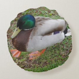 Almofada Redonda Travesseiro redondo com cabeça verde