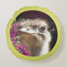 Travesseiro redondo de ostrich sul-africano