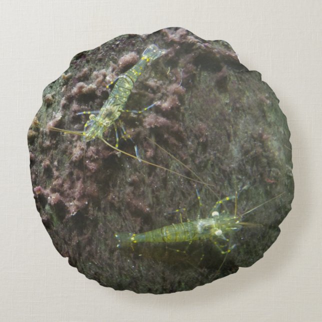 Almofada Redonda Travesseiro Redondo dos Camarões (Verso)