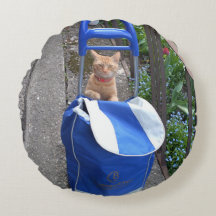 Travesseiro redondo Ginger Cat