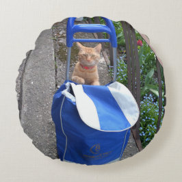 Almofada Redonda Travesseiro redondo Ginger Cat