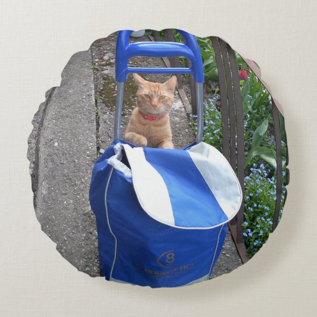 Almofada Redonda Travesseiro redondo Ginger Cat (Frente)