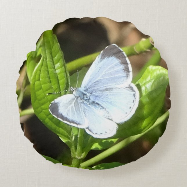 Almofada Redonda Travesseiro redondo Holly Blue Butterfly (Frente)