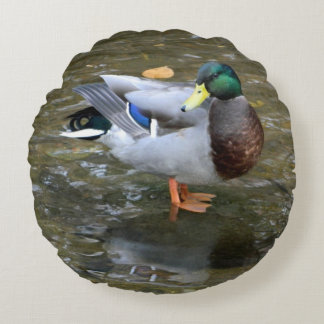 Almofada Redonda Travesseiro Redondo Mallard
