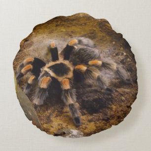 Almofada Redonda Travesseiro redondo Tarantula